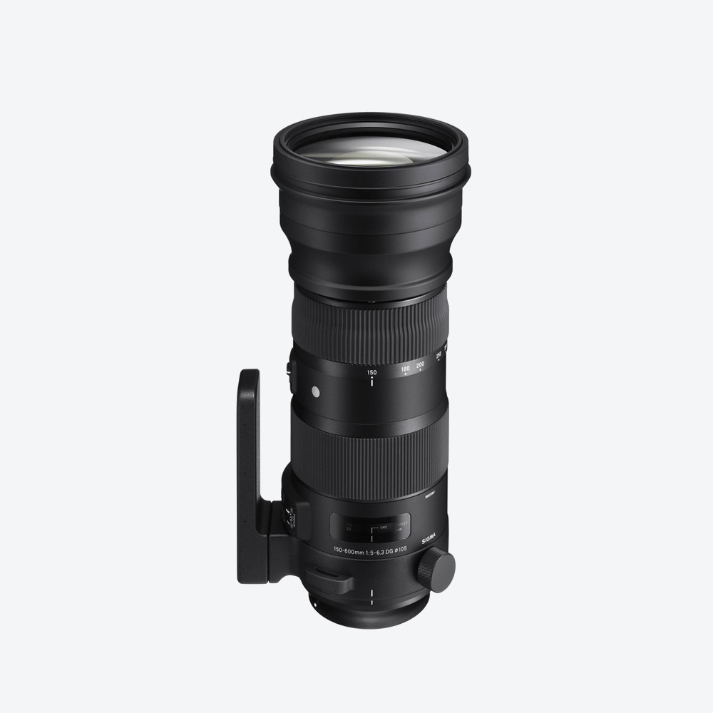 Sony 16mm f/2.8 Fisheye